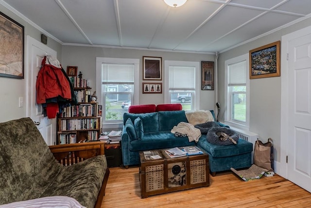 16 Fairfield Ave, Northampton, MA 01062 - living area with wood finished floors, healthy amount of natural light, and crown molding