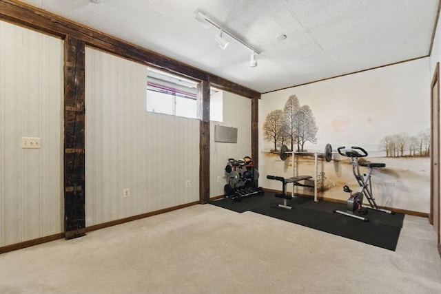 workout room with carpet floors, baseboards, and track lighting