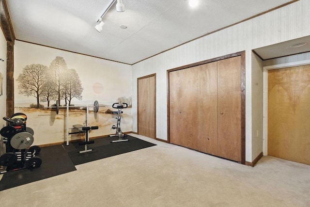 workout room featuring crown molding, carpet floors, and track lighting