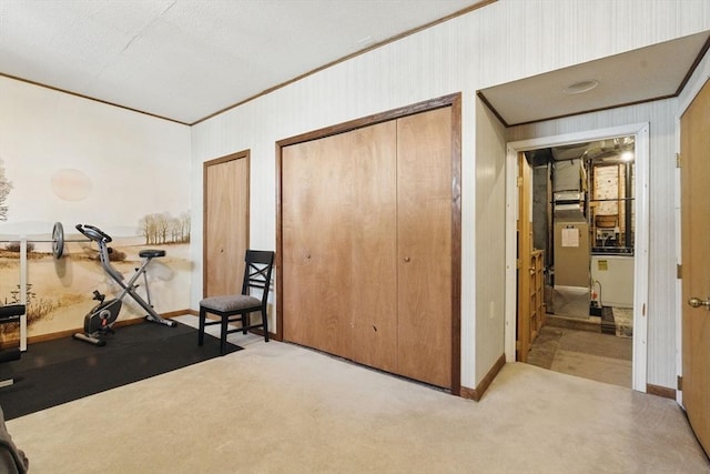 workout room featuring baseboards, wooden walls, carpet flooring, and crown molding