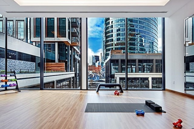 interior space with a view of city, floor to ceiling windows, a tray ceiling, and wood finished floors