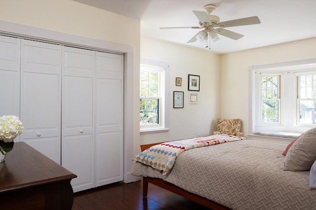 bedroom featuring dark wood-type flooring, a closet, and a ceiling fan