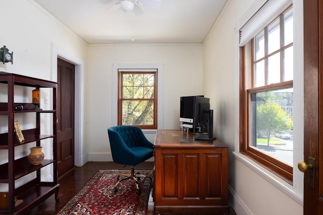 office featuring healthy amount of natural light, baseboards, ceiling fan, dark wood-style floors, and crown molding