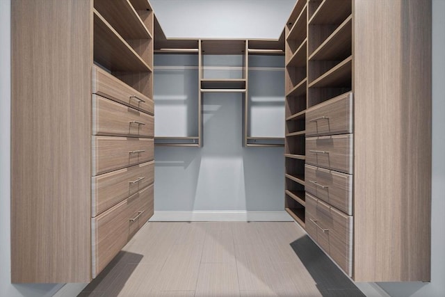 63 Perrin St, Boston, MA 02119 - view of walk in closet
