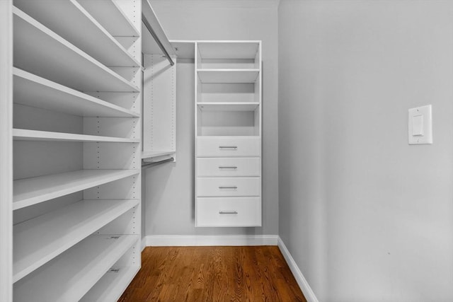 63 Perrin St, Boston, MA 02119 - walk in closet featuring dark wood-style flooring