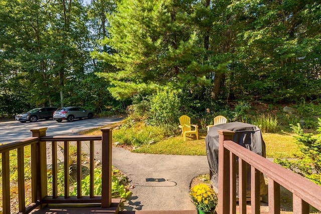 17 York Towne Ter Unit 17, Holden, MA 01520 - view of yard