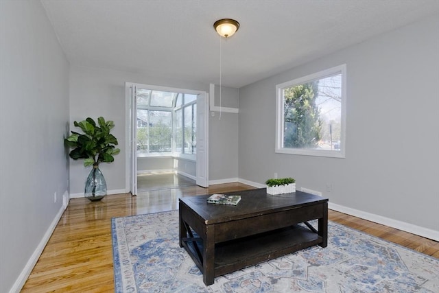 living room with baseboards, wood finished floors, and a wealth of natural light