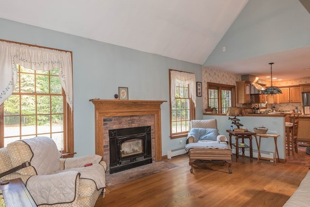 living room featuring a baseboard radiator, wood-type flooring, plenty of natural light, and a fireplace