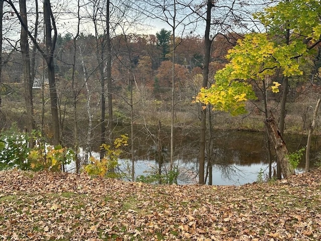 view of water feature