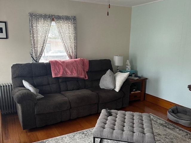 living room featuring hardwood / wood-style floors and radiator heating unit