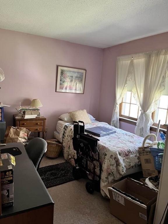 bedroom featuring carpet and a textured ceiling
