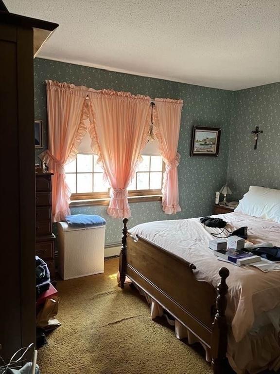 bedroom with multiple windows, carpet, a baseboard heating unit, and a textured ceiling