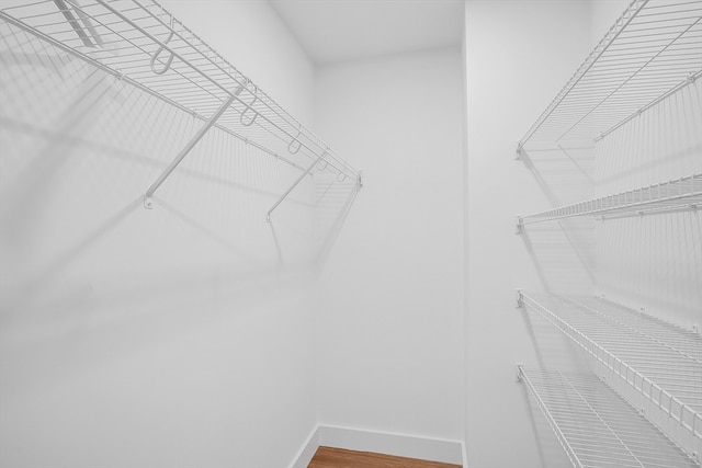 spacious closet featuring hardwood / wood-style floors