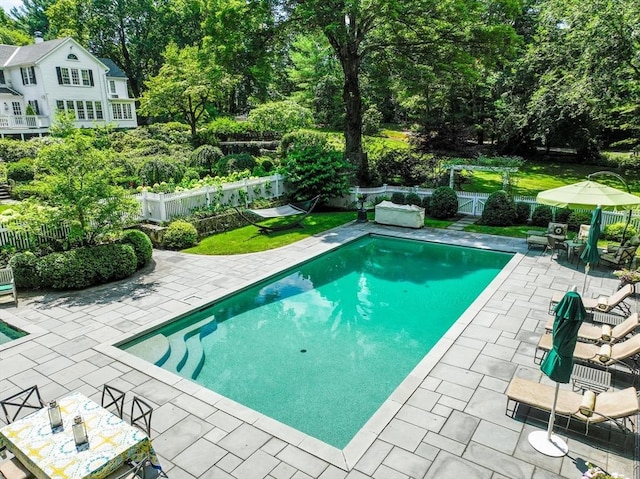 view of swimming pool featuring a fenced in pool, a patio area, and a fenced backyard