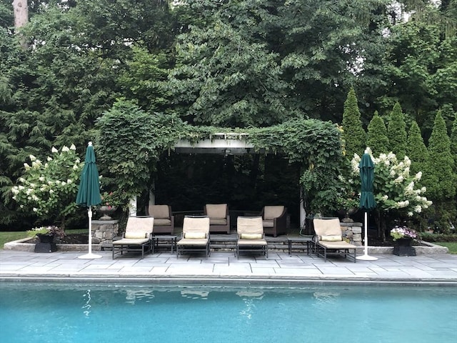 outdoor pool featuring a patio area