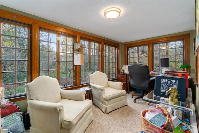 carpeted office with a wealth of natural light and a textured ceiling