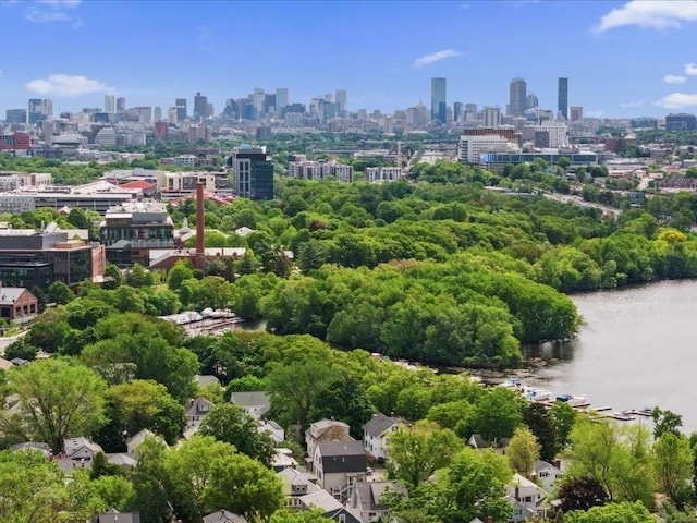 39 Paul St, Watertown, MA 02472 - drone / aerial view of skyline