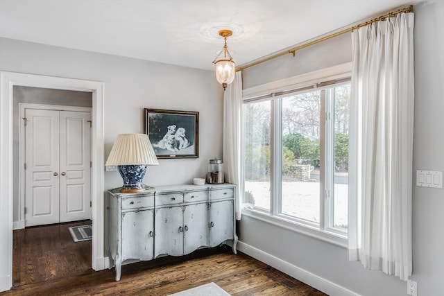 interior space with baseboards, wood finished floors, and a healthy amount of sunlight