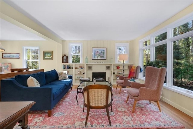 living area featuring wood finished floors and a fireplace