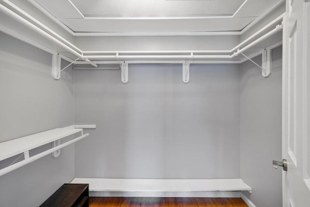 spacious closet featuring dark hardwood / wood-style flooring