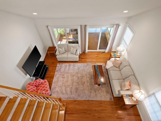 living room featuring wood-type flooring