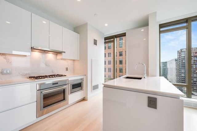 kitchen featuring white cabinetry, plenty of natural light, stainless steel appliances, and ventilation hood