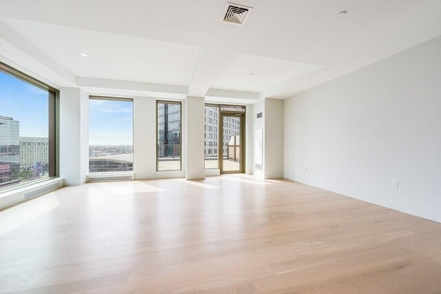 spare room with light wood-type flooring and a healthy amount of sunlight