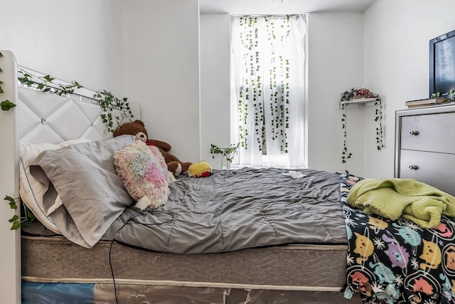 bedroom with multiple windows