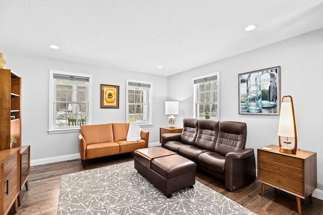 living room with hardwood / wood-style floors