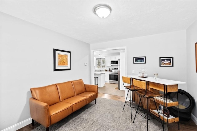 living room with light wood-type flooring