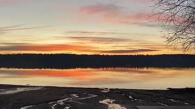 nature at dusk with a water view