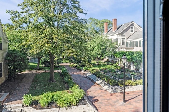 130 Mount Auburn St Unit 204, Cambridge, MA 02138 - view of yard with a vegetable garden