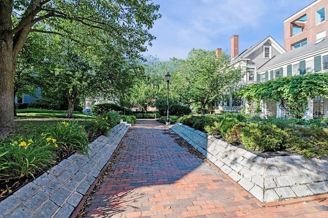 130 Mount Auburn St Unit 204, Cambridge, MA 02138 - view of property's community