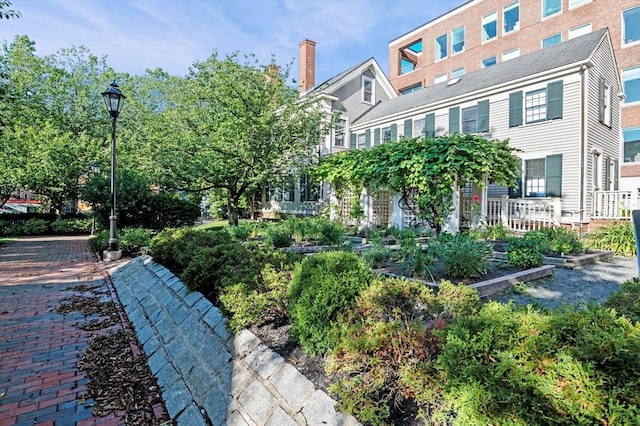 130 Mount Auburn St Unit 204, Cambridge, MA 02138 - surrounding community with a garden