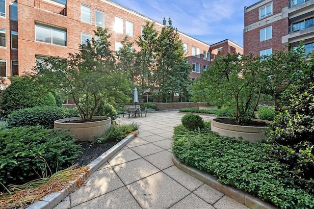 130 Mount Auburn St Unit 204, Cambridge, MA 02138 - view of property's community