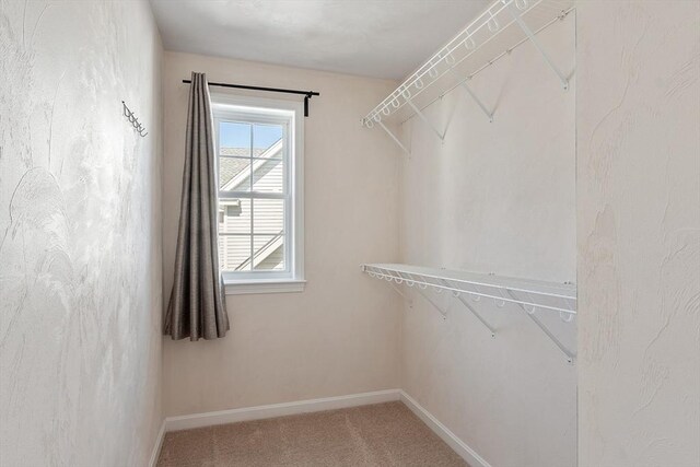 spacious closet with carpet
