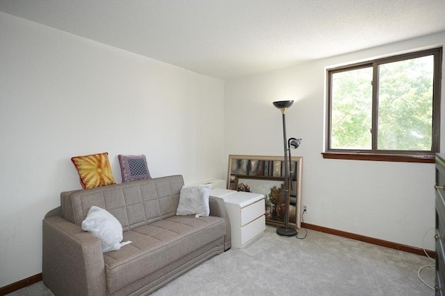 sitting room with carpet floors and baseboards