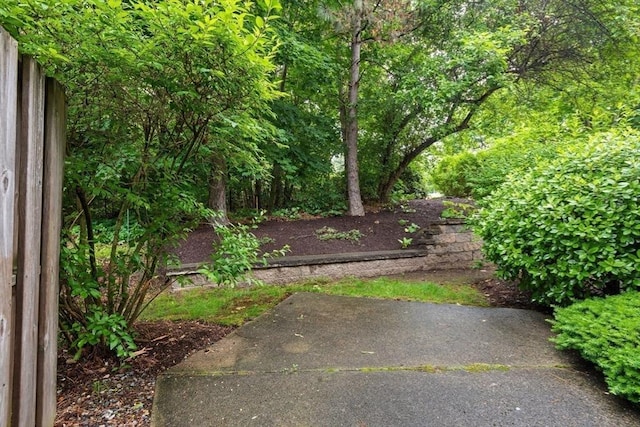 29 Crystal Brook Way Unit C, Marlborough, MA 01752 - view of yard