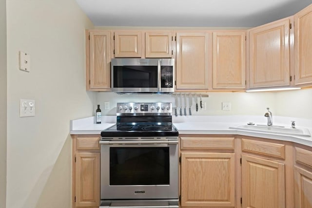29 Crystal Brook Way Unit C, Marlborough, MA 01752 - kitchen featuring stainless steel appliances, light brown cabinetry, and light countertops