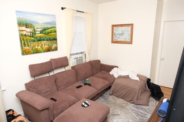 218 W 8th St, Boston, MA 02127 - view of living room