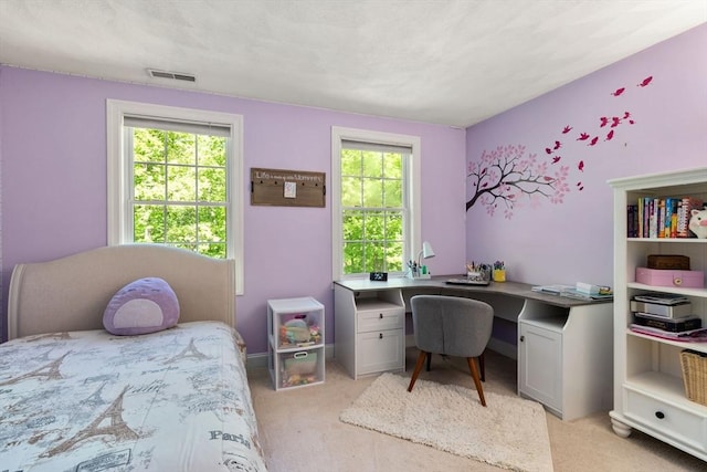 10 Primrose Ln, Westborough, MA 01581 - bedroom with multiple windows, light carpet, and an office area