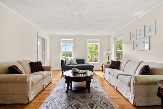 10 Primrose Ln, Westborough, MA 01581 - living room featuring crown molding and light wood-style flooring