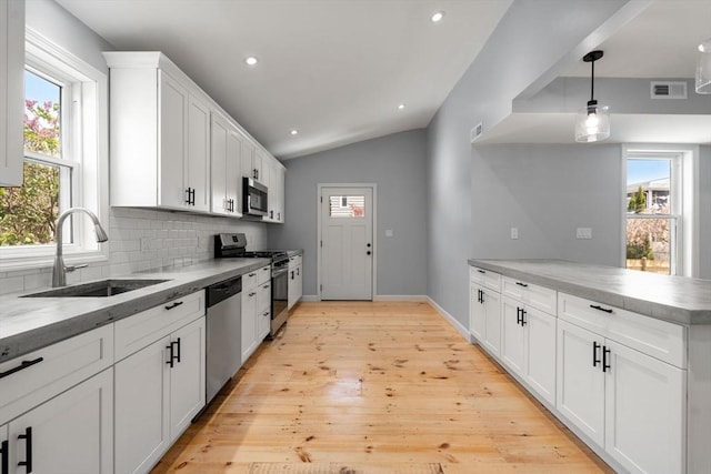 kitchen featuring appliances with stainless steel finishes, plenty of natural light, a sink, and visible vents