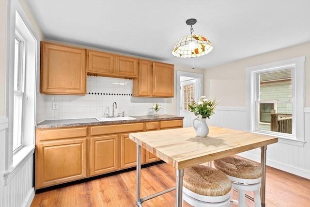 kitchen with light wood finished floors, a wainscoted wall, tasteful backsplash, and a sink