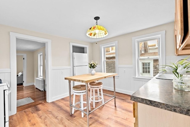 dining room with radiator, light wood finished floors, and wainscoting