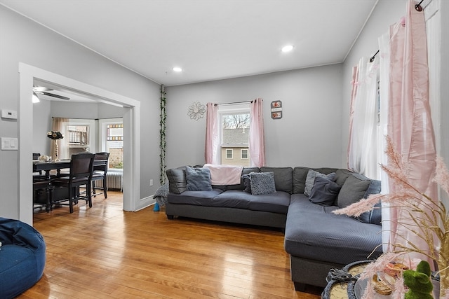 living room featuring ceiling fan, radiator heating unit, and light wood-type flooring