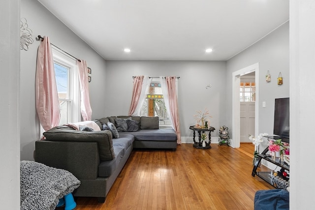 living room featuring hardwood / wood-style floors