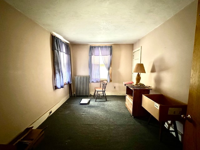 sitting room with radiator and a textured ceiling