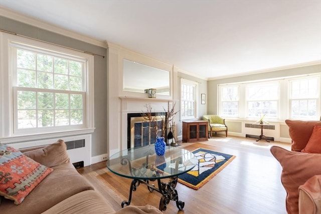living room with crown molding, radiator, and wood finished floors