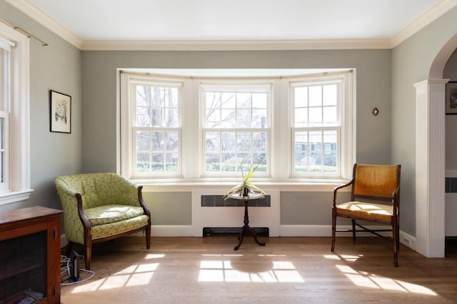 sitting room featuring crown molding, radiator, plenty of natural light, and wood finished floors